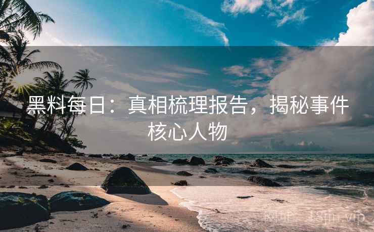 黑料每日：真相梳理报告，揭秘事件核心人物