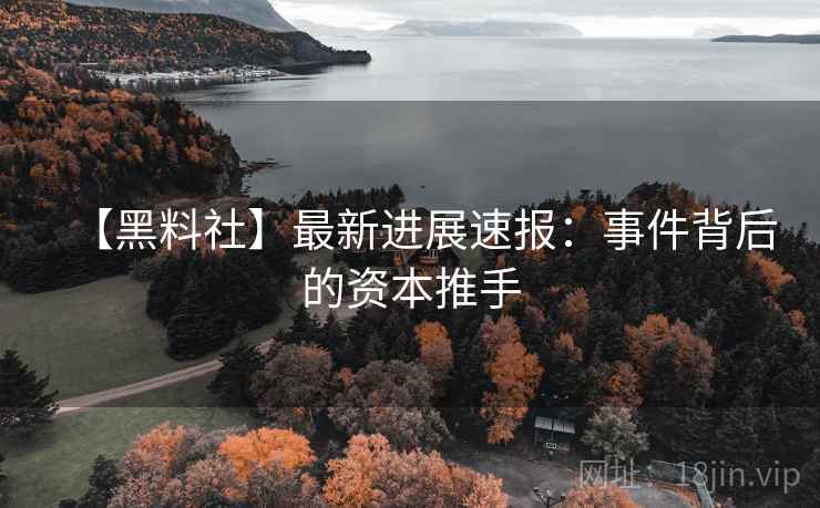 【黑料社】最新进展速报：事件背后的资本推手  第2张
