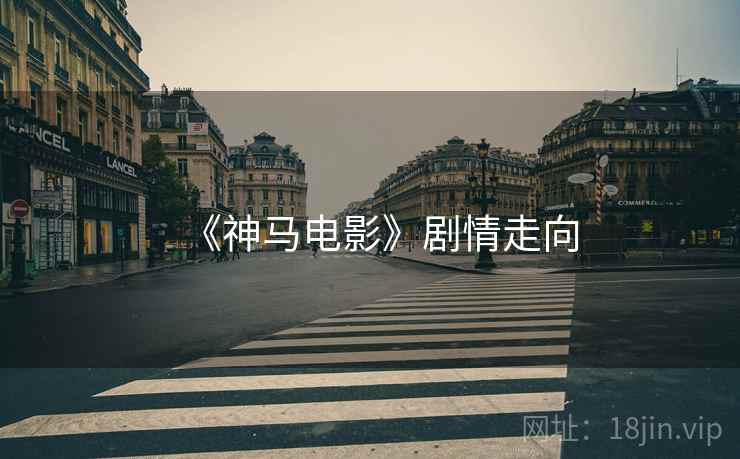 《神马电影》剧情走向  第2张