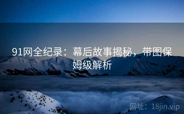 91网全纪录：幕后故事揭秘，带图保姆级解析