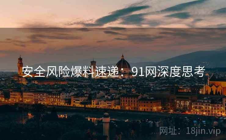 安全风险爆料速递：91网深度思考