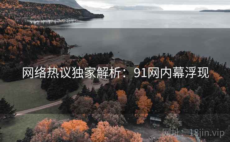 网络热议独家解析：91网内幕浮现