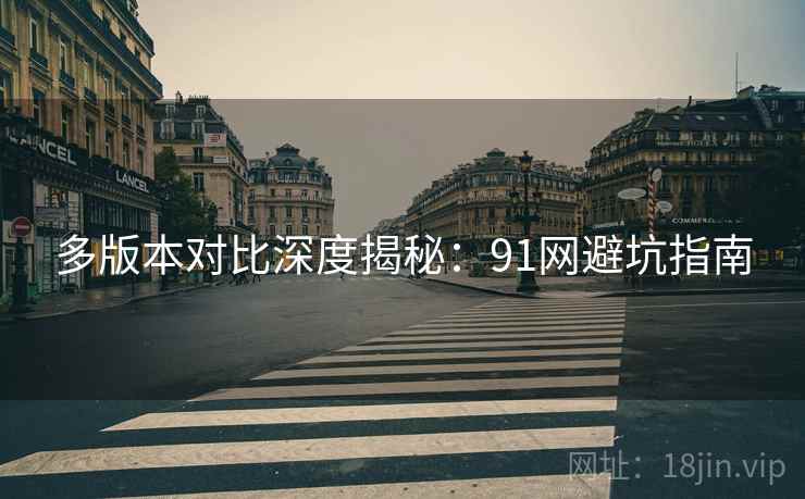 多版本对比深度揭秘：91网避坑指南