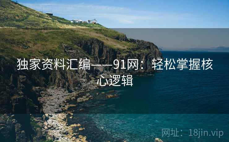 独家资料汇编——91网：轻松掌握核心逻辑